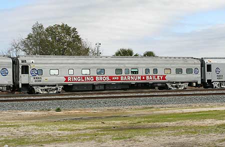 rbbx41310.jpg